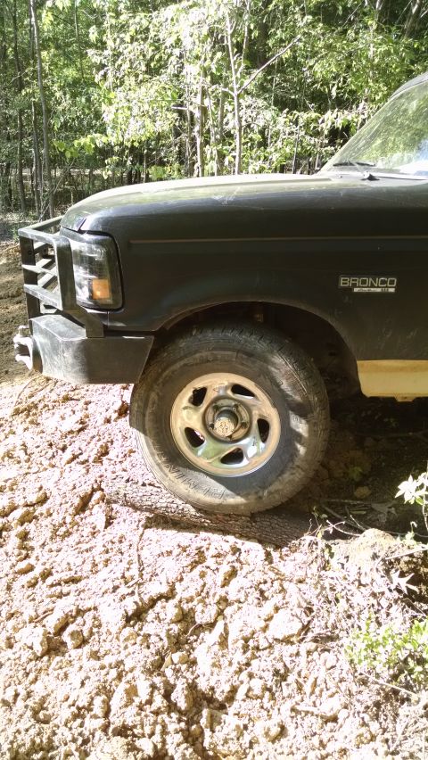 1983 Ford Bronco - ...break the tap root. After this, it popped out easily with a chain on the draw bar.