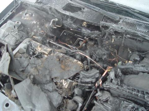 2002 Ford Focus photo