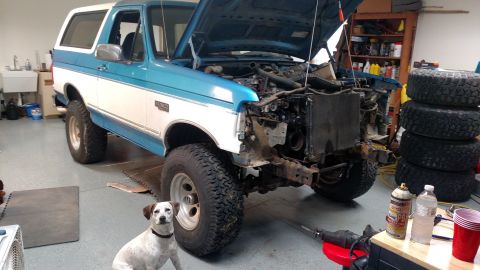 1995 Ford Bronco photo