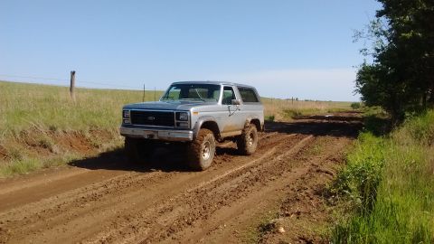 1985 Ford Bronco - Silver Ford Bronco navigates a muddy off-road trail under a clear blue sky.
