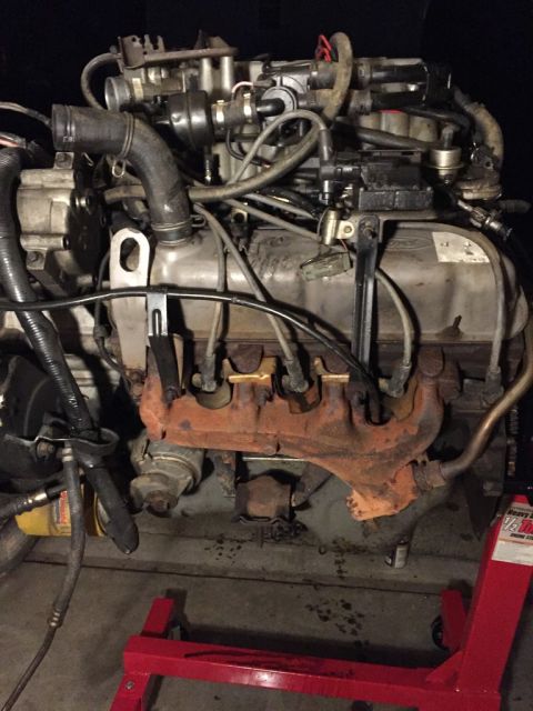 1989 Ford Bronco - drivers side of the engine as i got it. you cant see it here but under the exhaust manifold i found one of those heat tabs glued in place.…