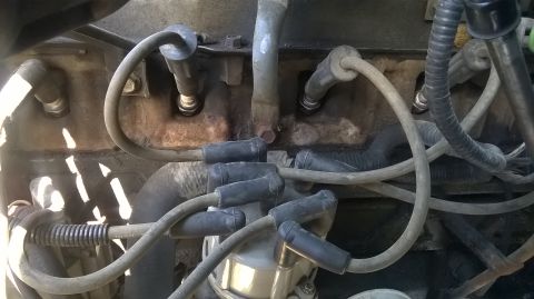1996 Ford F-150 - Close-up view of engine spark plug wires and distributor cap, showing the ignition system components.