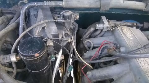 1996 Ford F-150 - Ford engine bay detail, showing the intake manifold and various hoses and wires.