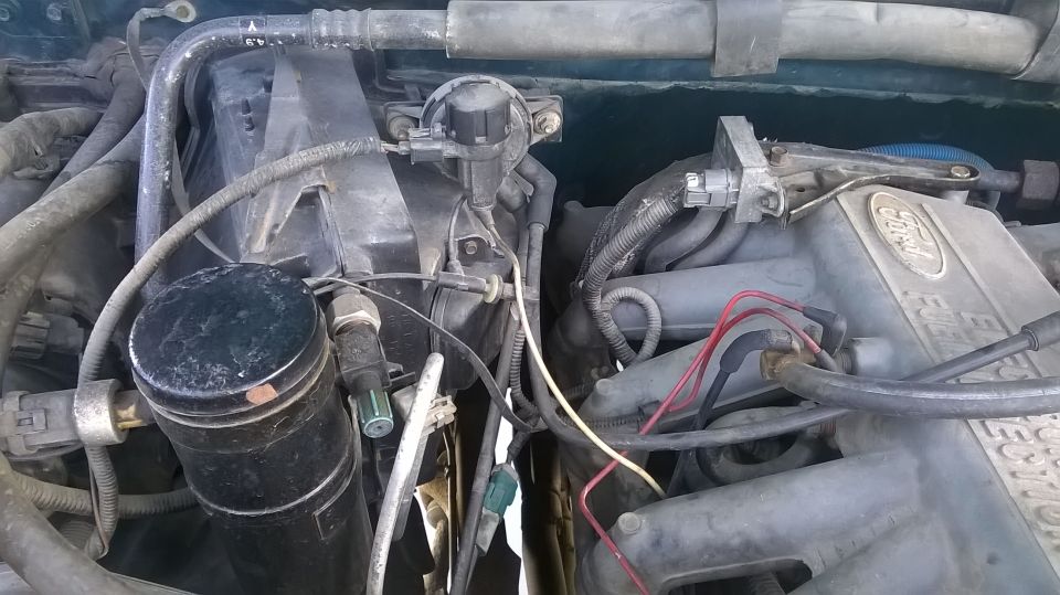 Close-up of a Ford engine bay with 'FUEL INJECTION' visible on the intake manifold