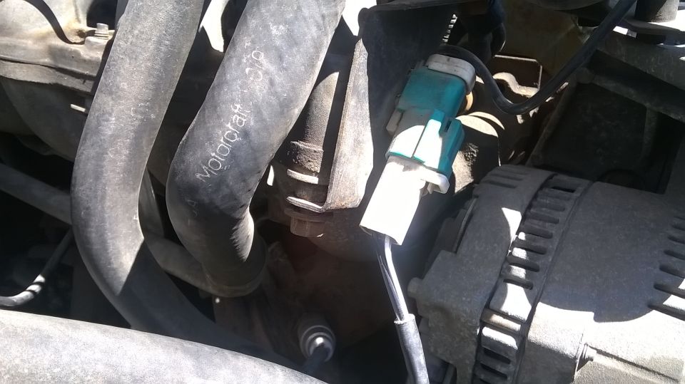 Close-up of hoses and electrical connector in an engine bay. A Motorcraft hose is visible