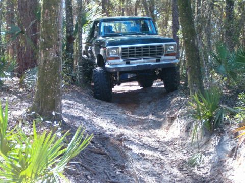 1991 Ford Bronco - Dovepower - Travis