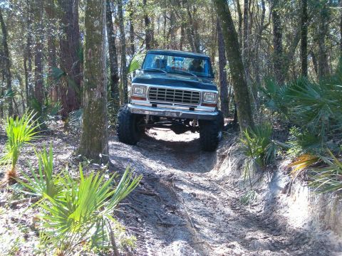 1991 Ford Bronco - This 1979 Ford Bronco navigates a dirt path through a wooded area.