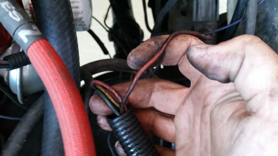 Dirty hands holding automotive wires emerging from a black loom.