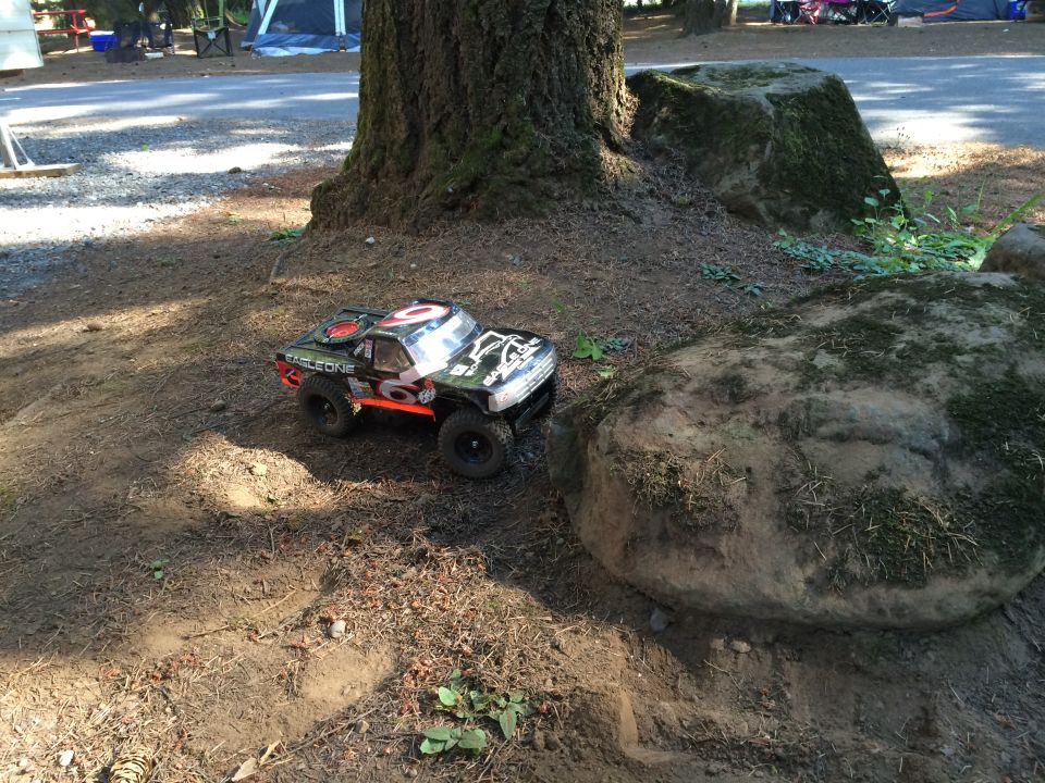 Black and orange remote-controlled monster truck with "EAGLE ONE" text, parked on dirt by a rock and tree.