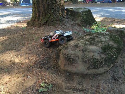 1989 Ford Bronco - A remote-controlled monster truck with "EAGLE ONE" and the number "6" visible on its side is positioned on a dirt path next to a large moss…