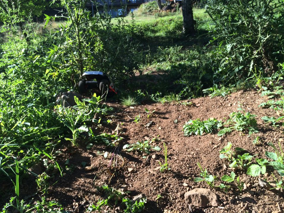 Remote-controlled rock crawler vehicle on a dirt path with plants and rocks.