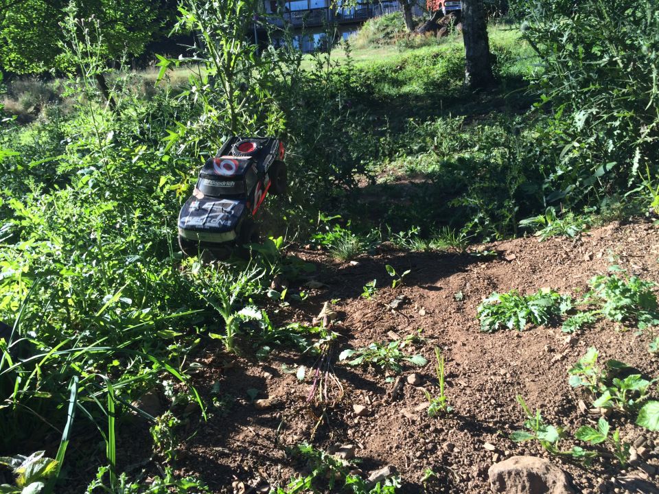 Remote-controlled truck with BFGoodrich tires in a natural outdoor setting.