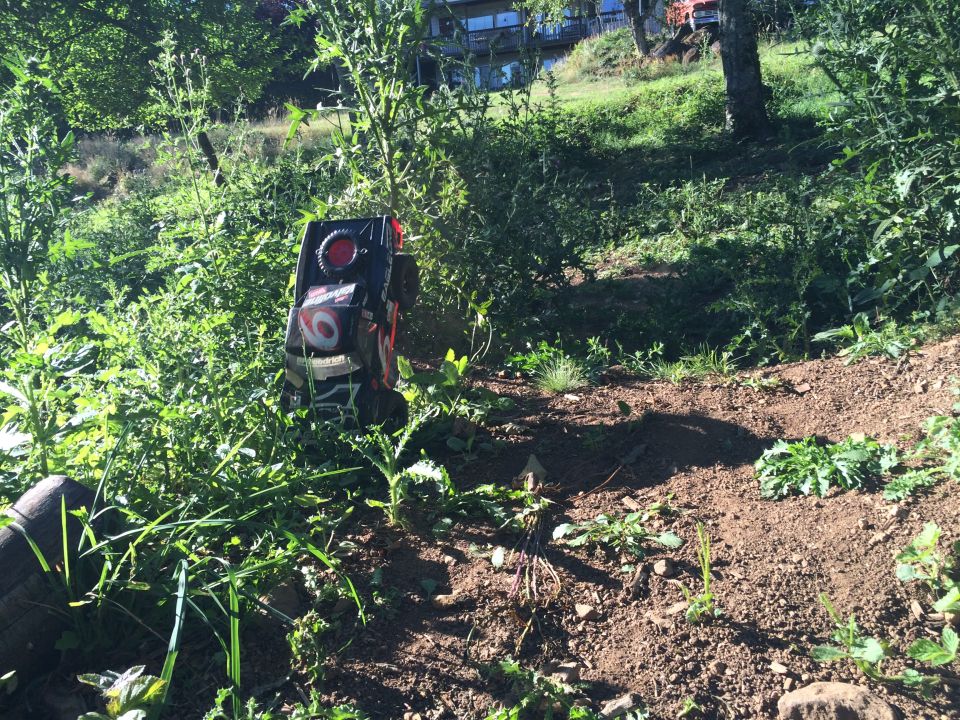 Remote-controlled rock crawler tipped on its side in green bushes.