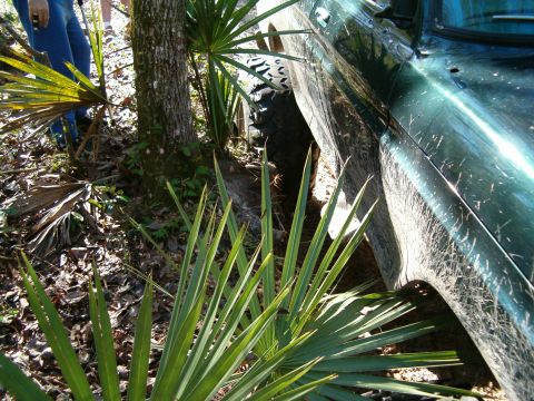 1991 Ford Bronco - A green SUV is stuck in a wooded area, with its tires deep in the dirt.