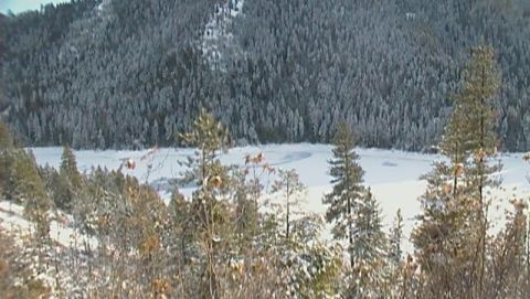 2004 Arctic Cat King Cat 900