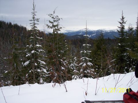 2004 Arctic Cat King Cat 900 - A snowmobile is not visible in this winter scene.