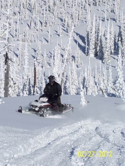 2004 Arctic Cat King Cat 900 - A snowmobile navigates a snowy path through a dense forest covered in snow.