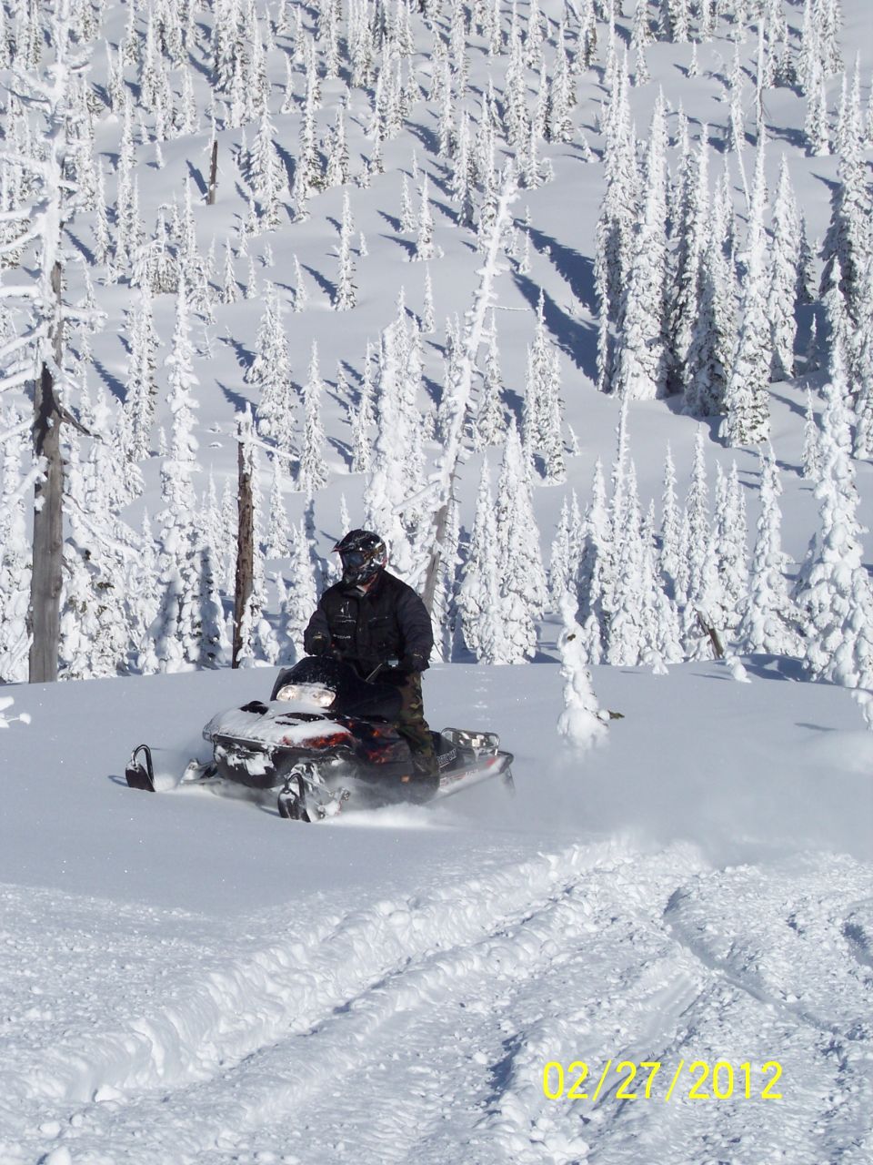 Snowmobile rider on a snowy trail with snow-covered trees in the background