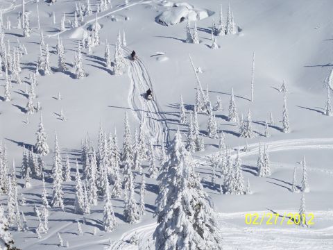 2004 Arctic Cat King Cat 900 - Two snowmobiles carve tracks down a snowy mountainside amidst frosted trees.