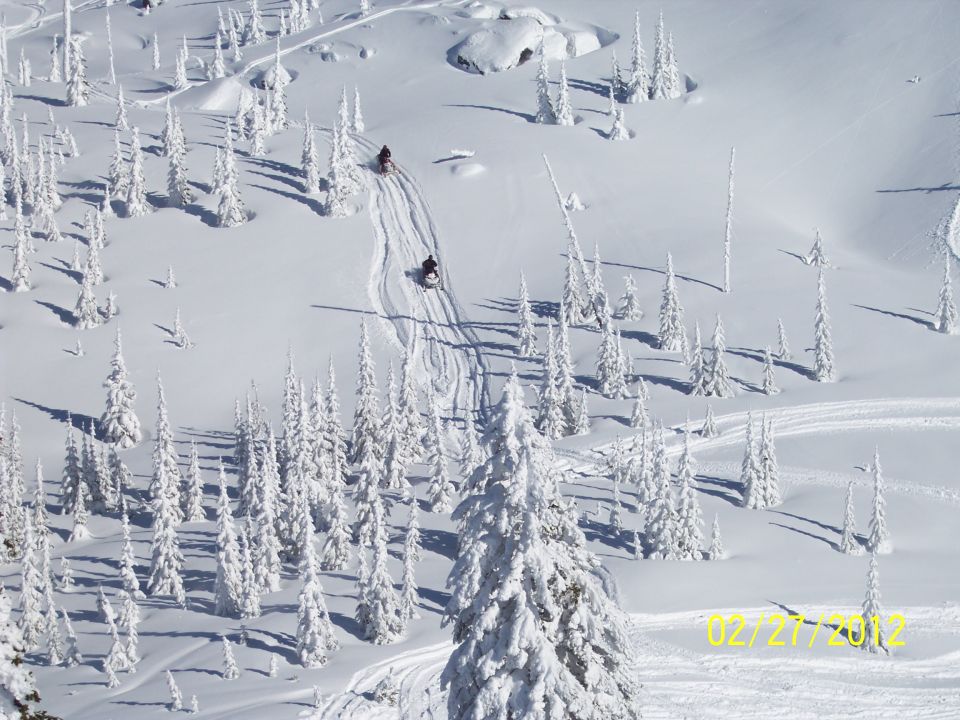 Two snowmobiles on a snow-covered slope with snow-laden trees