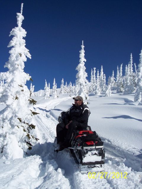 2004 Arctic Cat King Cat 900 - A snowmobile and rider pause on a snow-covered trail amidst a winter landscape with snow-laden trees.