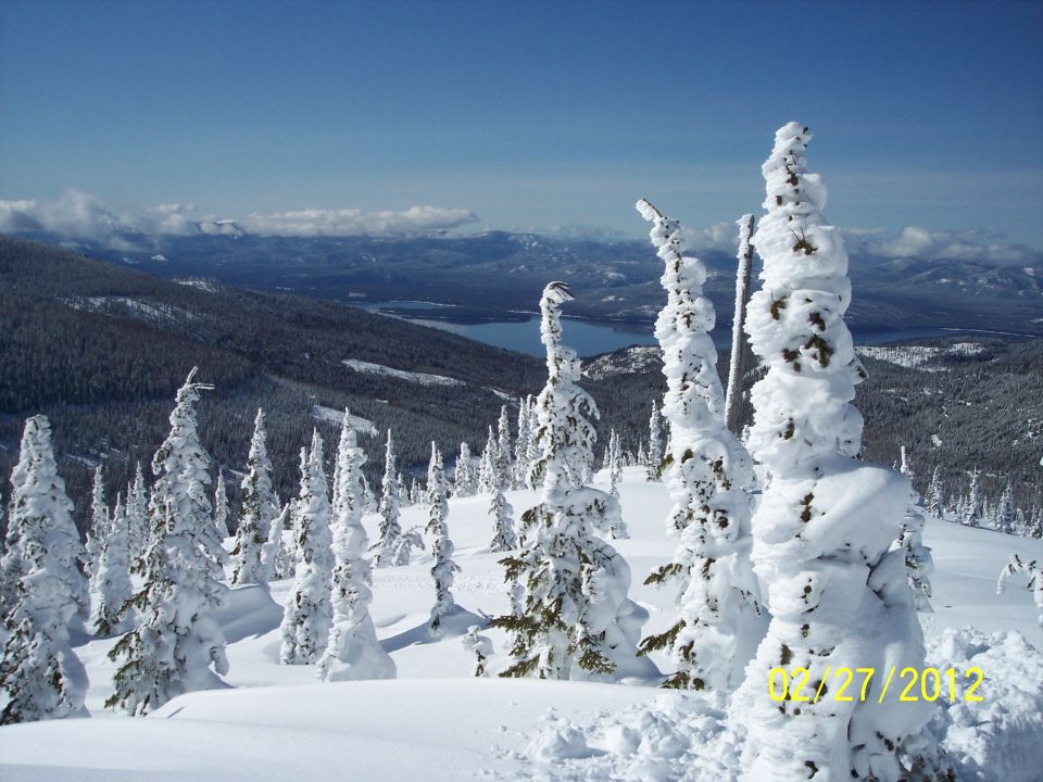 Snow-covered trees on a mountain with a lake in the background.