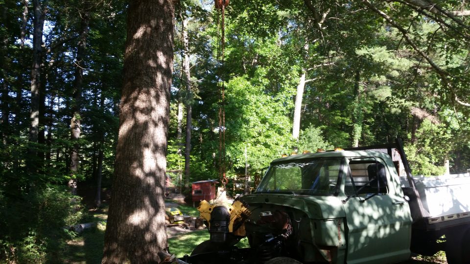 Green flatbed truck with a white bed, parked outdoors in a wooded area. Part of the engine is visible