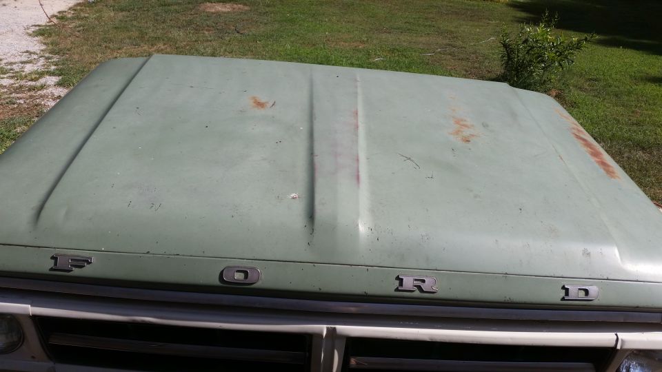 Green Ford truck hood with rust spots and dents, showing individual letter badging