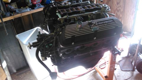 1996 Ford Bronco - Ford V8 engine with 'Bronco POWERED BY FORD' valve covers, mounted on an engine stand.