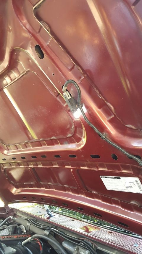 1996 Ford Bronco - The underside of a vehicle's hood is shown, revealing wiring and insulation.