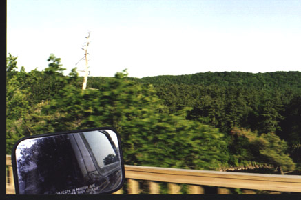 1991 Ford Bronco - View from a vehicle's side mirror, showing a wooded landscape and clear sky.