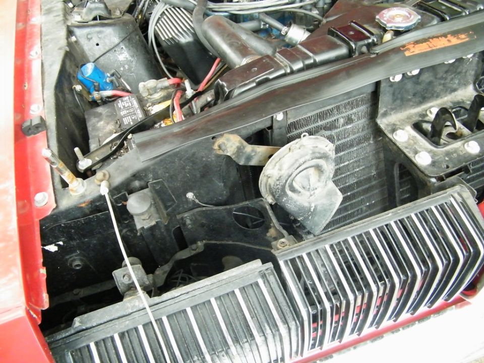 Front of a car's engine bay, showing the radiator, horn, and grille. Red fender visible on the left