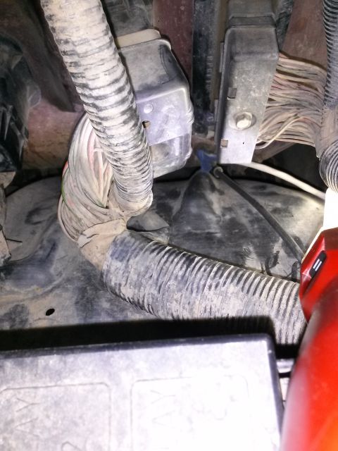 1996 Ford Bronco - A complex network of wires and conduits is visible in the engine compartment.
