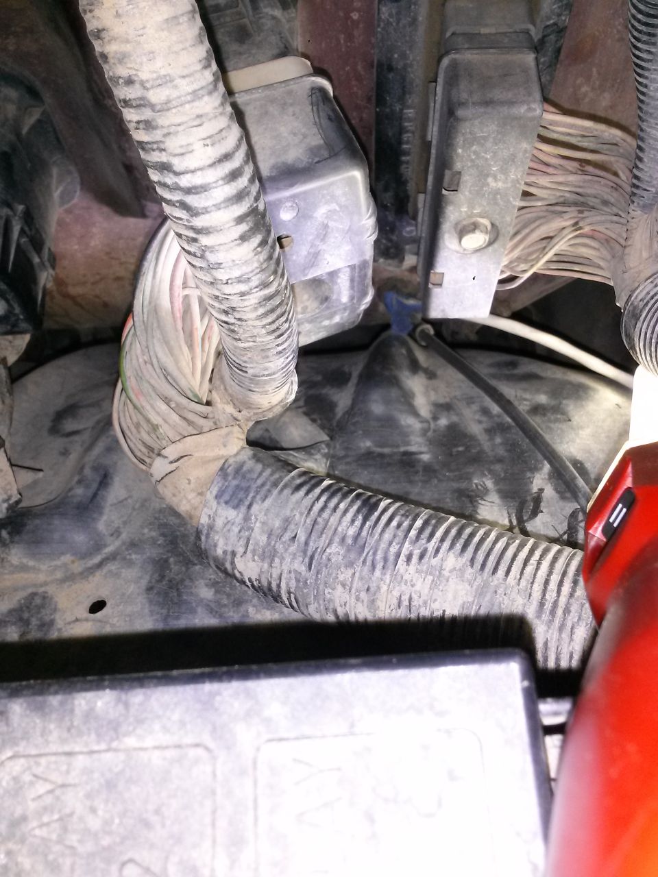 Close-up of engine bay wiring, showing bundles of wires and connectors