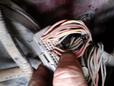 1996 Ford Bronco - Hand holding a wiring harness connector with multiple wires attached.