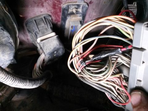 1996 Ford Bronco - This image shows a complex wiring harness with many colored wires and electrical connectors, likely from a vehicle's engine compartment.