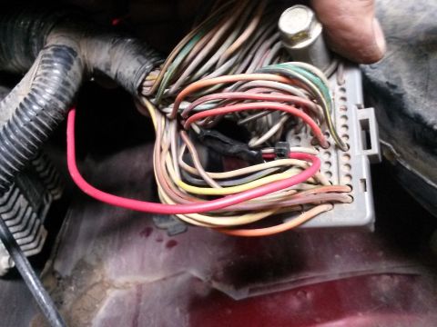 1996 Ford Bronco - Close-up of a vehicle's engine wiring harness, showing a tangle of colorful wires connected to a gray electrical connector.