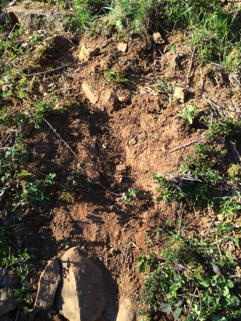 1989 Ford Bronco - Tire tracks are visible in the disturbed earth, suggesting recent vehicle activity.