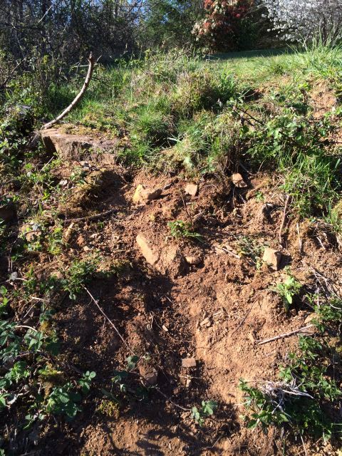 1989 Ford Bronco - A natural scene of a hillside with vegetation and exposed soil, no vehicle visible.