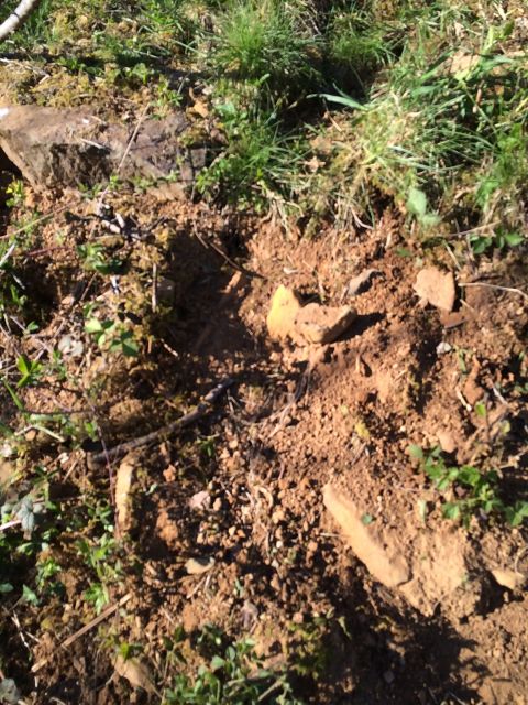 1989 Ford Bronco - A patch of disturbed earth and vegetation with rocks and a piece of wood.
