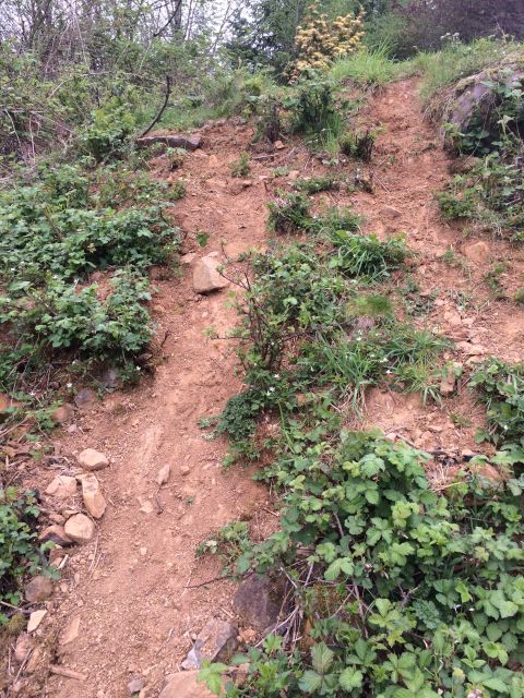1989 Ford Bronco - A rough, eroded dirt path winds up a vegetated hillside, showing signs of natural wear and tear.
