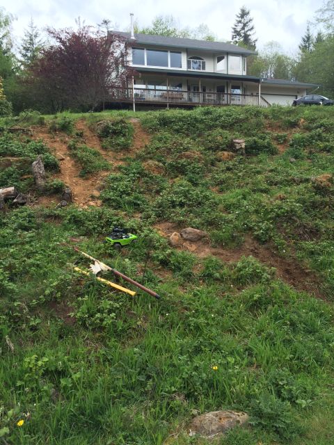 1989 Ford Bronco - A toy car leaves tracks on a grassy hill near a house.