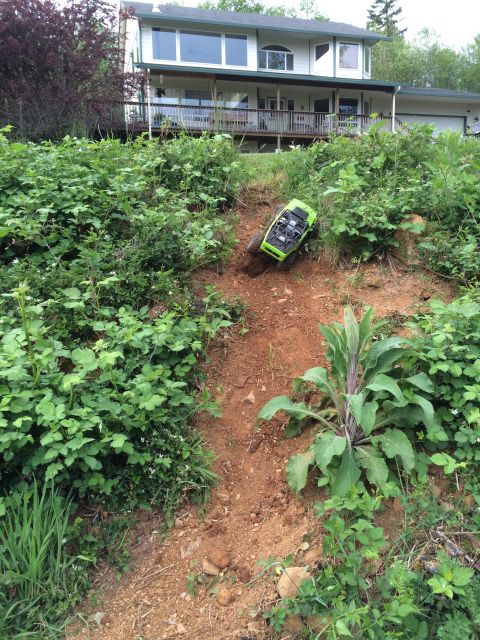 1989 Ford Bronco - RC rock crawler navigates a steep, vegetated dirt slope.