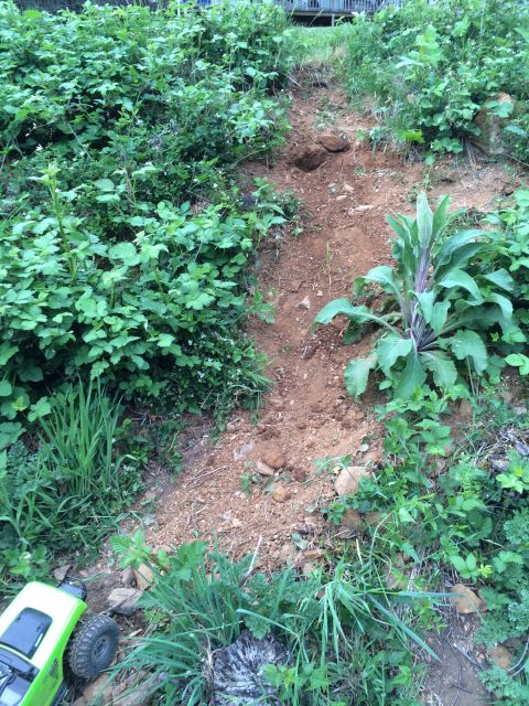 1989 Ford Bronco - A toy RC car is partially visible on the left side of a dirt path surrounded by greenery.