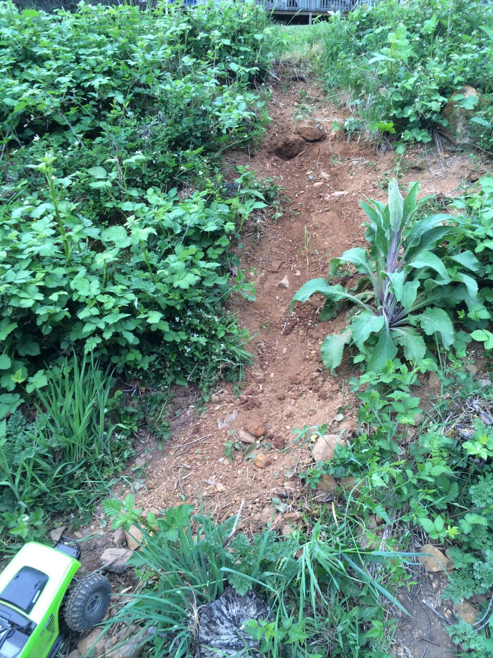 Green toy RC car with black tire on left side of frame, on dirt and grass