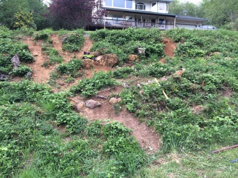 1989 Ford Bronco - A small green remote control toy truck navigates a steep, overgrown dirt hill in front of a large house.