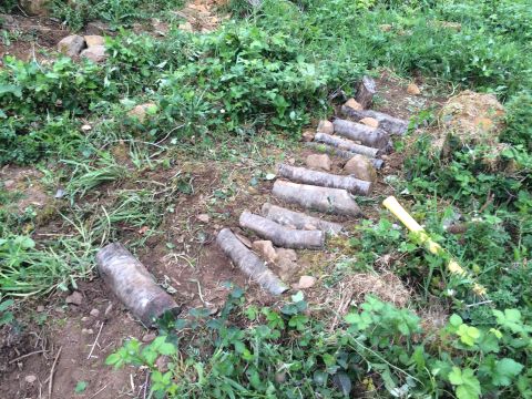 1989 Ford Bronco - Log steps create a path through overgrown vegetation, with a yellow tool visible.