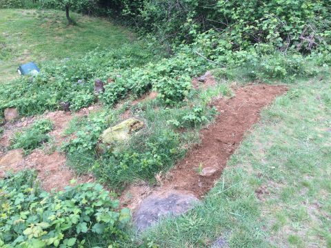 1989 Ford Bronco - A section of an overgrown hillside shows a recently cleared patch of earth, suggesting recent landscaping or gardening activity.