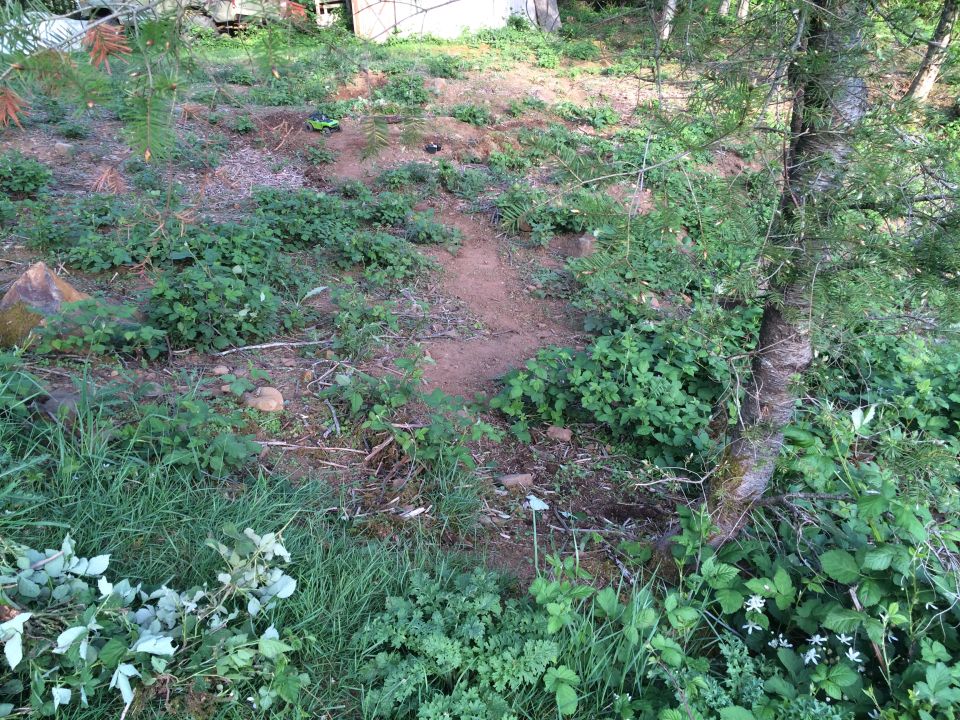 Green remote control car on a dirt path with vegetation