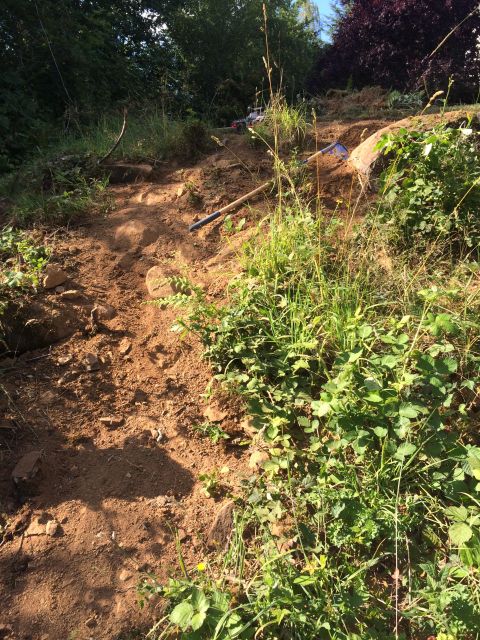 1989 Ford Bronco - A dirt path winds through overgrown vegetation, with gardening tools visible on the slope.